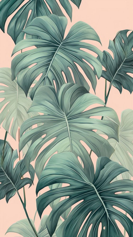 Wallpaper monstera and palm leaves backgrounds outdoors tropics.