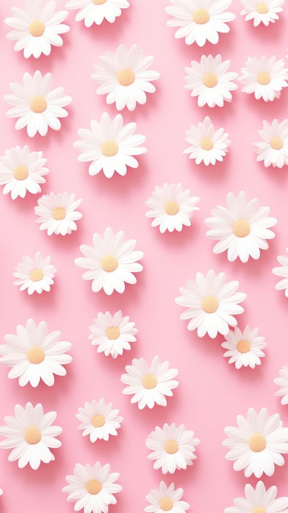 Wallpaper pattern flower daisy backgrounds. | Free Photo Illustration ...