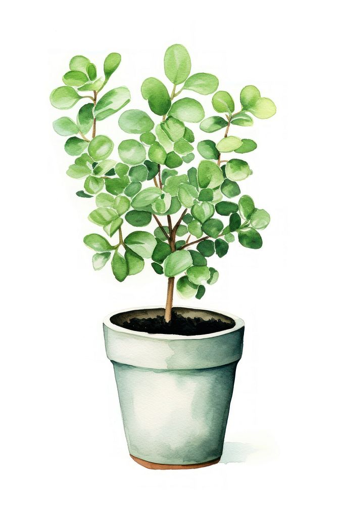 An Indoor small green plant in a plant pot bonsai leaf tree. AI generated Image by rawpixel.