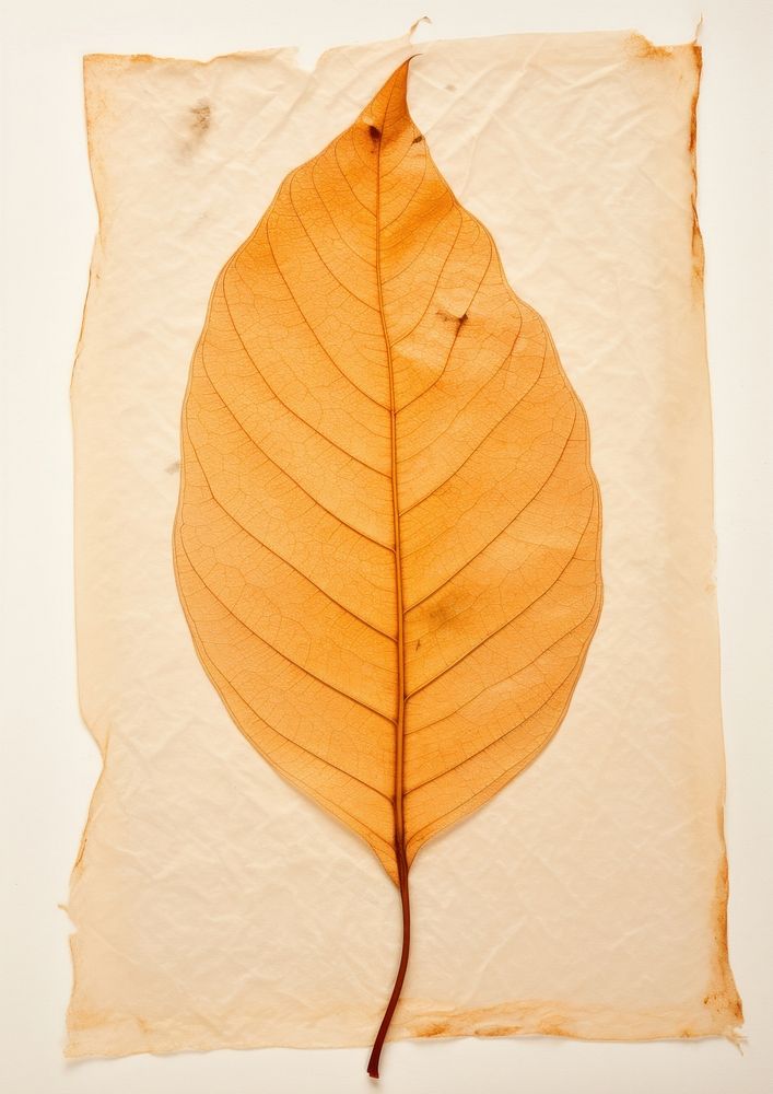 Leaf textured plant paper.