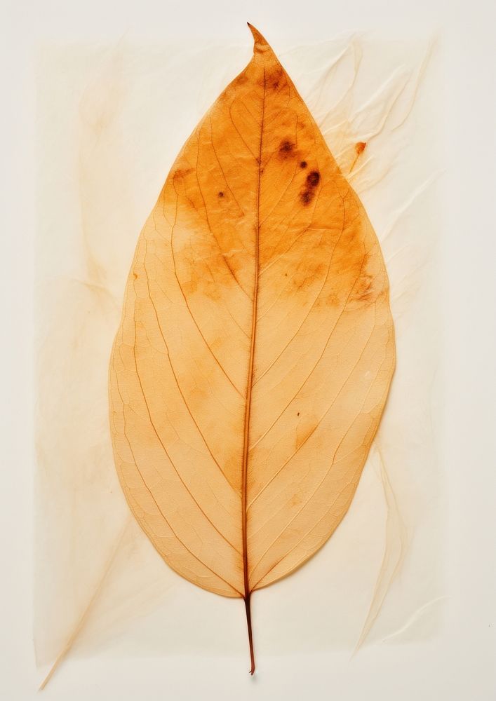 Leaf plant paper pattern.