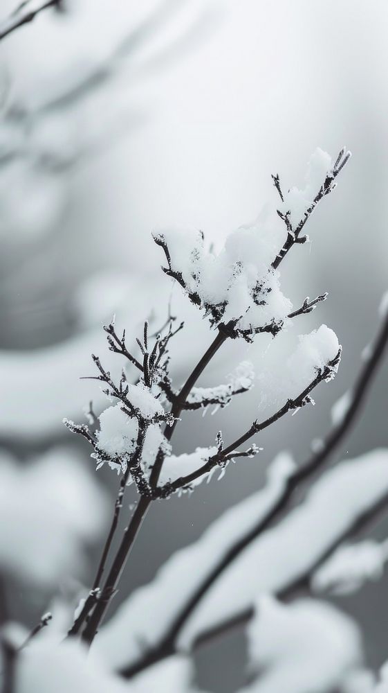 Nature snow outdoors winter. AI generated Image by rawpixel.