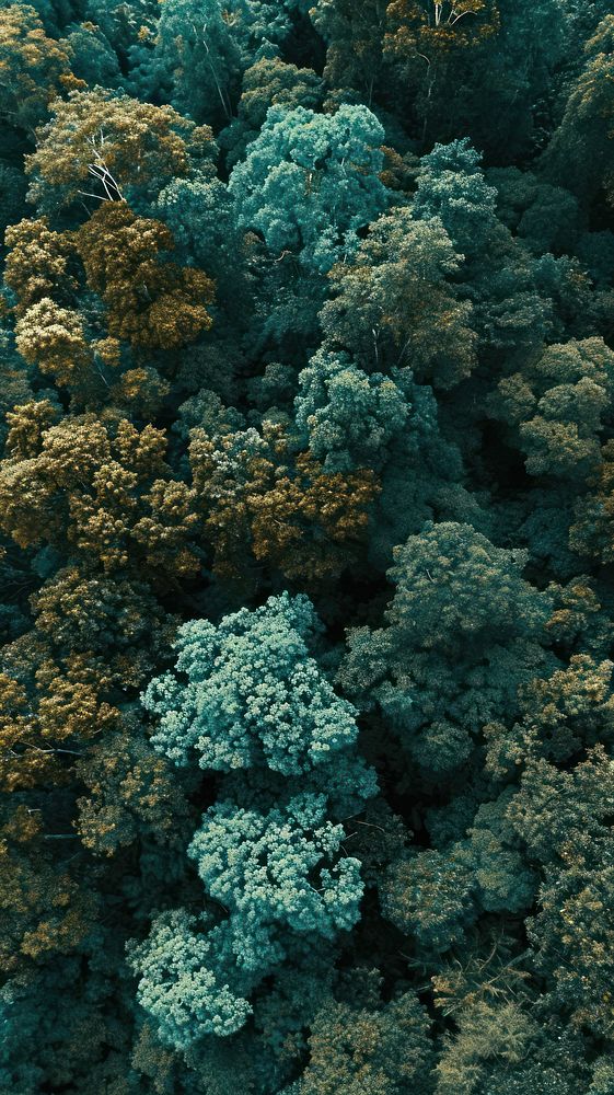  Nature outdoors pattern forest. AI generated Image by rawpixel.