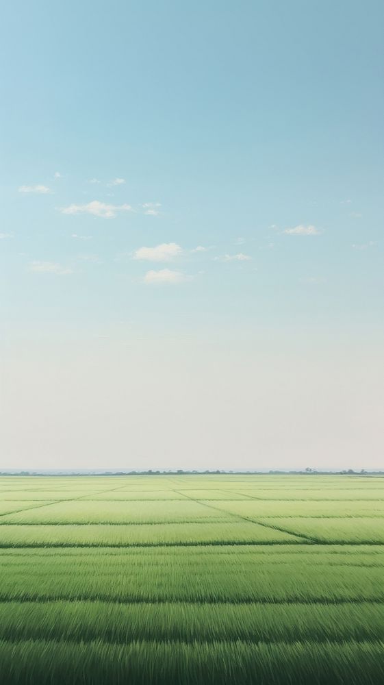  Rice field outdoors horizon nature. AI generated Image by rawpixel.
