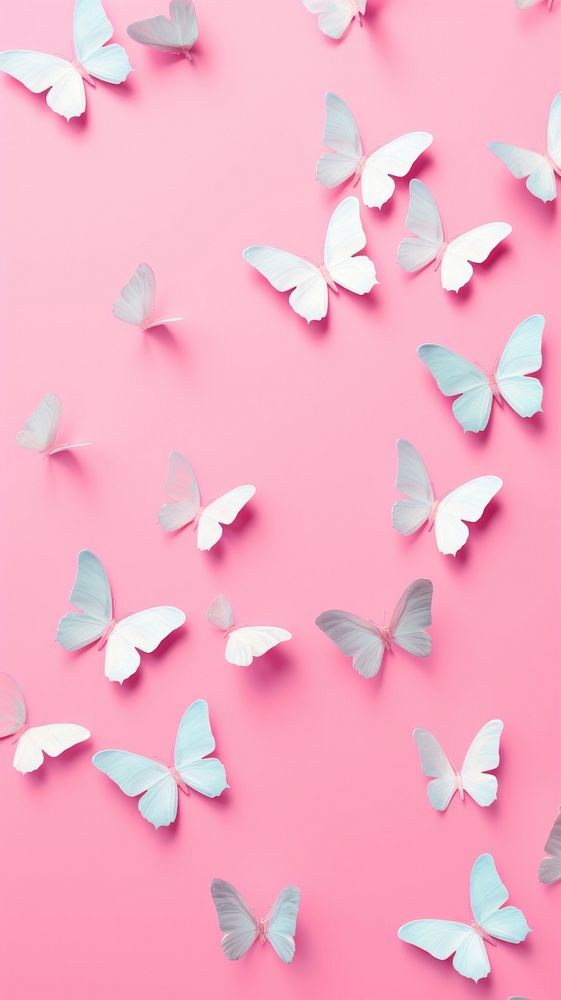 Backgrounds butterfly wallpaper petal.