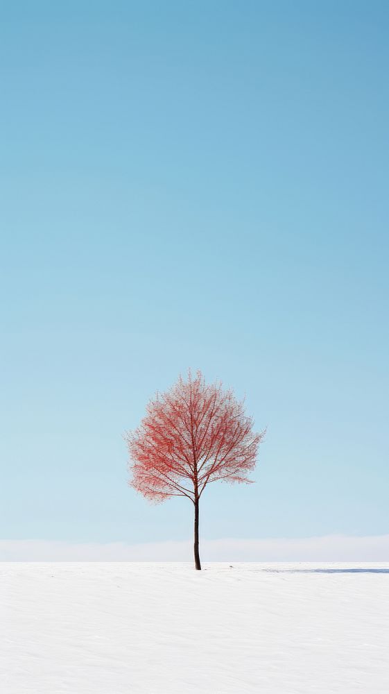  Nature sky outdoors plant. AI generated Image by rawpixel.