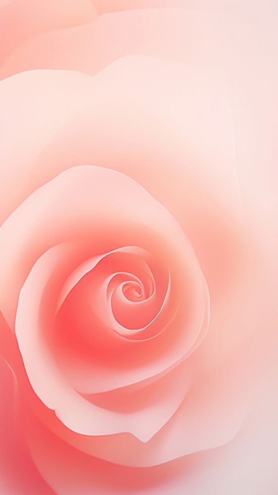 Garden rose backgrounds abstract flower. AI generated Image by rawpixel.