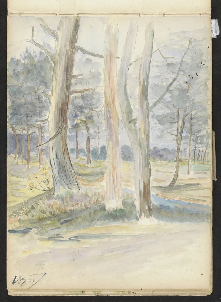 Bosgezicht (c. 1913 - c. 1916) by jonkheer Johannes Ludovicus Paulus Bosch van Drakestein