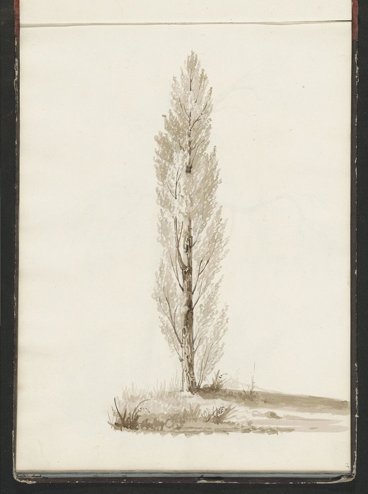 Landschap met een boom (c. 1819 - c. 1870) by anonymous