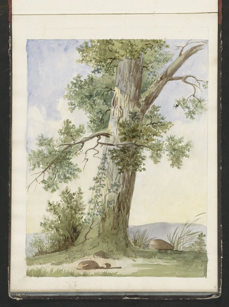 Boom in een landschap (c. 1819 - c. 1870) by anonymous