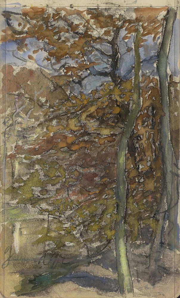 Bomen in een heuvellandschap (1881 - 1927) by Johan Antonie de Jonge
