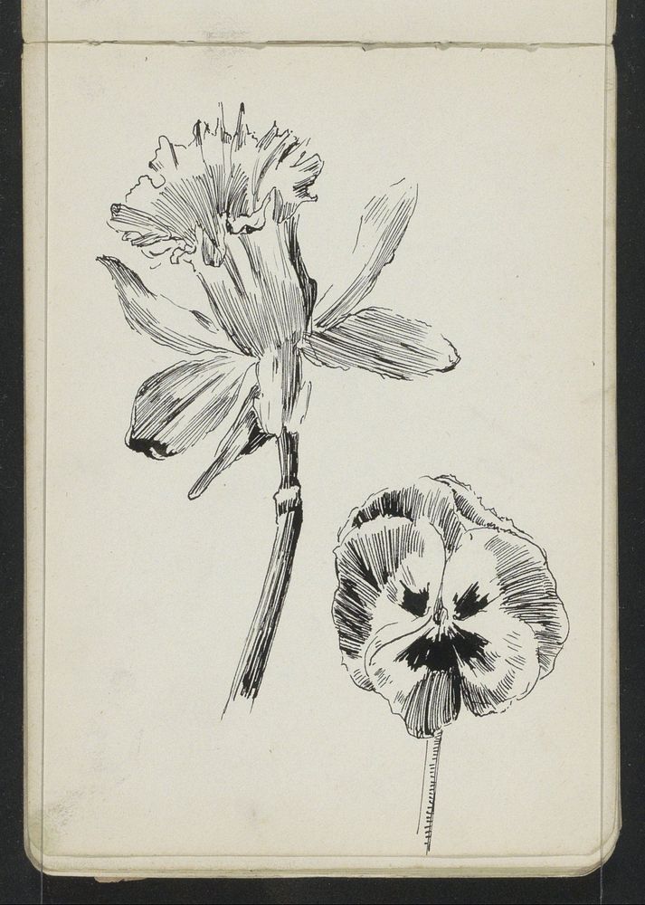Narcis en een viooltje (1883 - 1922) by Johanna van de Kamer