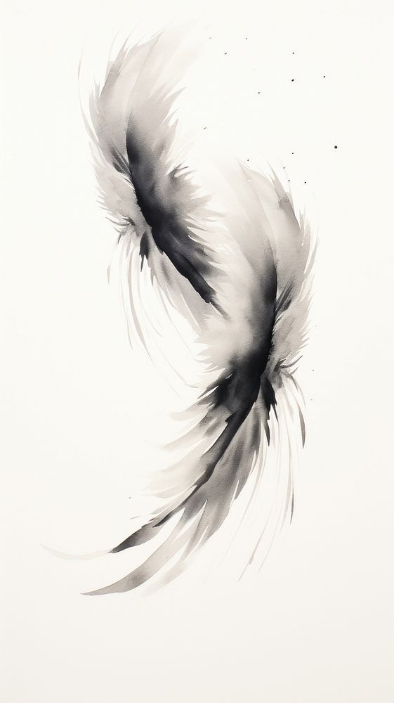 Wings drawing sketch ink.
