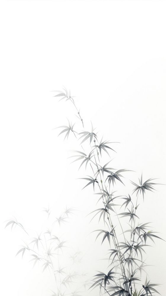 Cannabis bud backgrounds plant white.