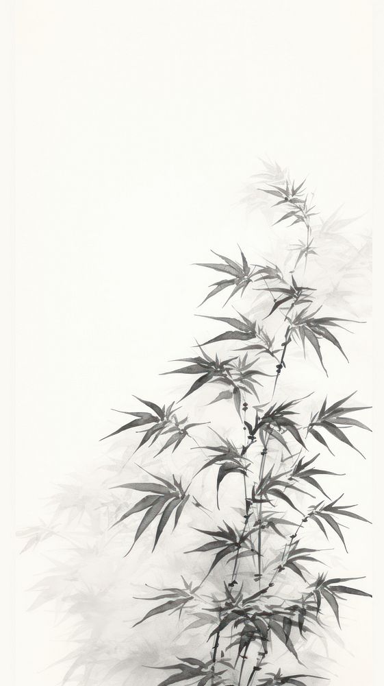 Cannabis drawing sketch plant.