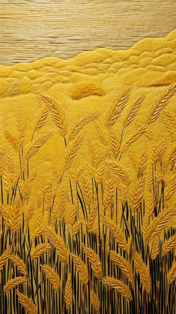 Yellow rice field plant wheat agriculture.