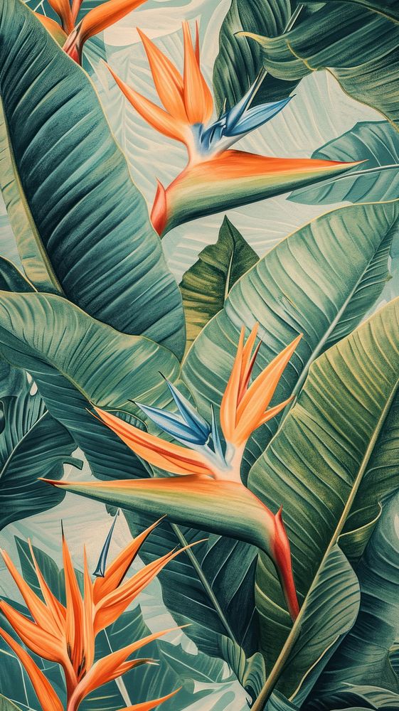 Wallpaper on bird of paradise backgrounds outdoors tropics.