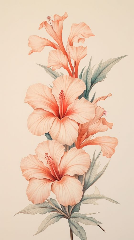 Wallpaper on flower hibiscus drawing sketch.