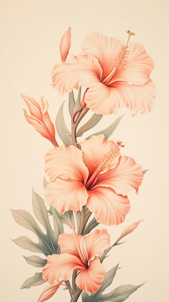 Wallpaper on flower hibiscus pattern drawing.