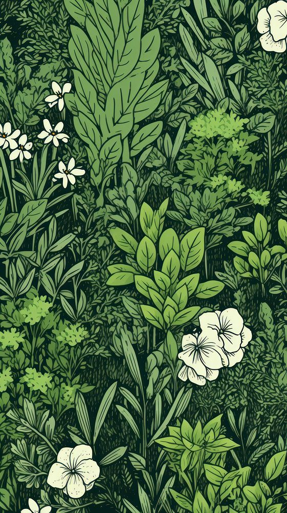 Wallpaper herbs outdoors pattern nature.