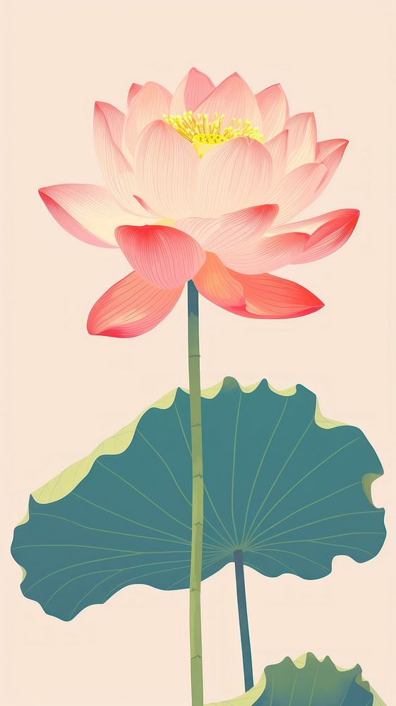 Chinese seamless lotus flower plant lily.