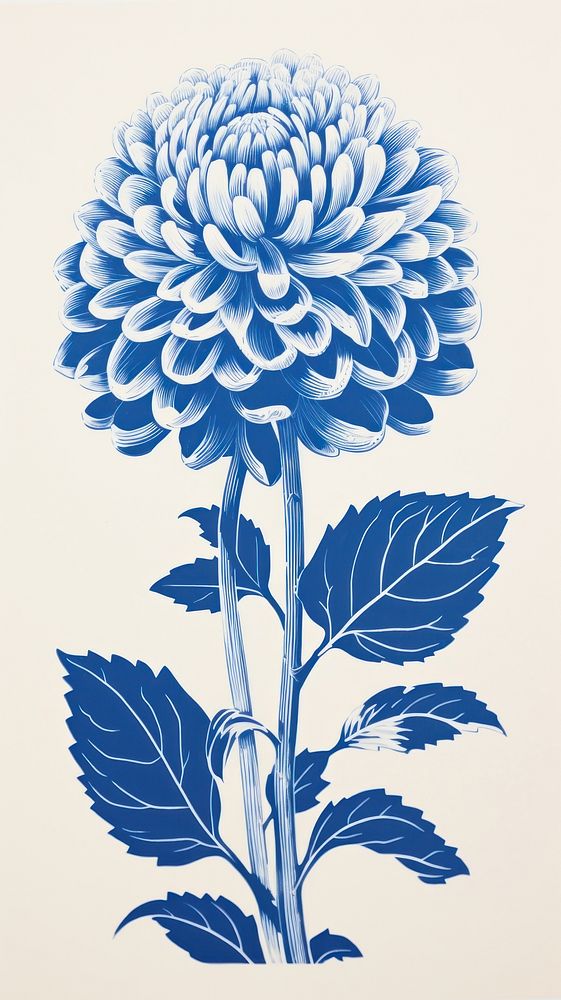 Chinese flower blue and white art drawing dahlia.