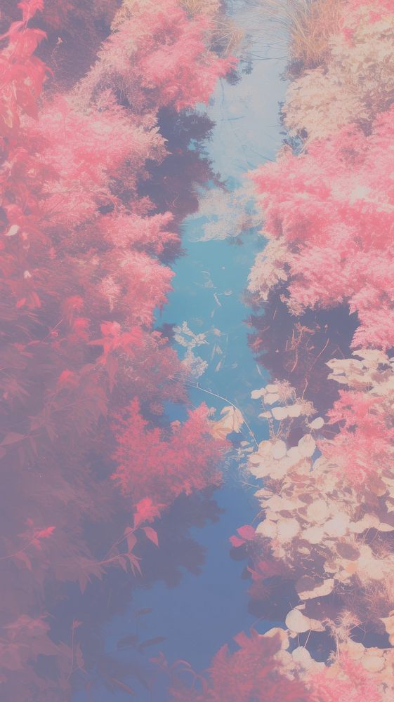 NATURE nature backgrounds outdoors. AI generated Image by rawpixel.