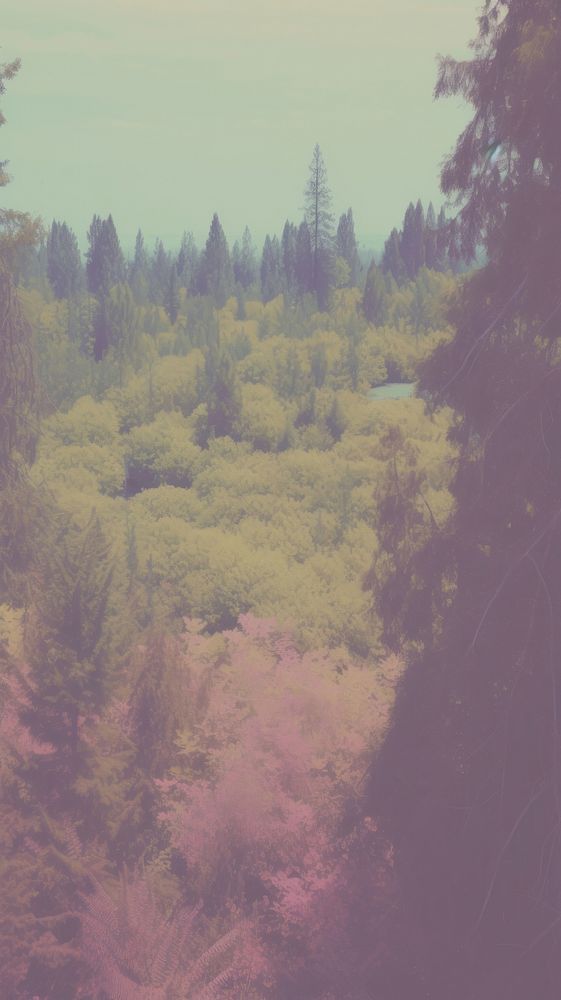 Forest land wilderness landscape. AI generated Image by rawpixel.