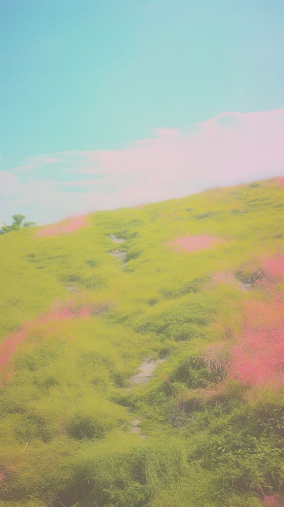 Grassland outdoors nature plant. AI generated Image by rawpixel.