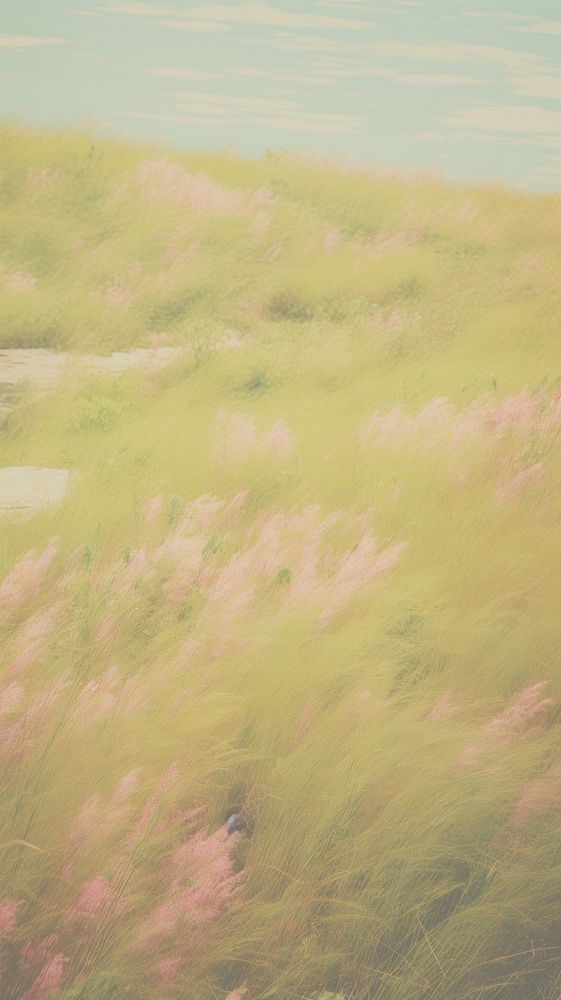 Grassland backgrounds outdoors nature. AI generated Image by rawpixel.