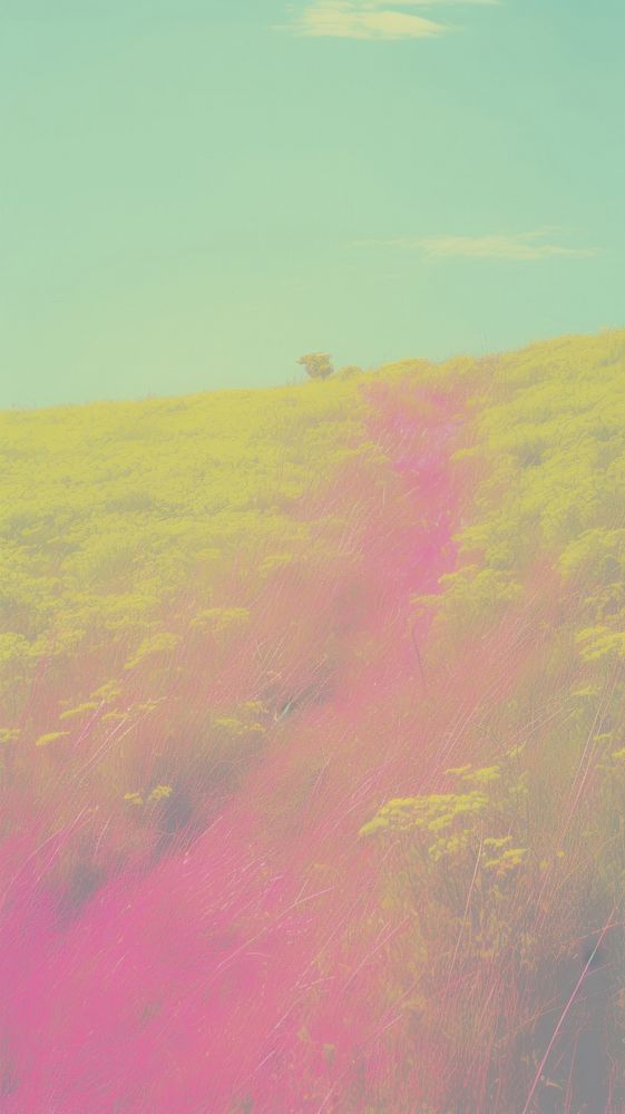 Grassland backgrounds outdoors nature. AI generated Image by rawpixel.