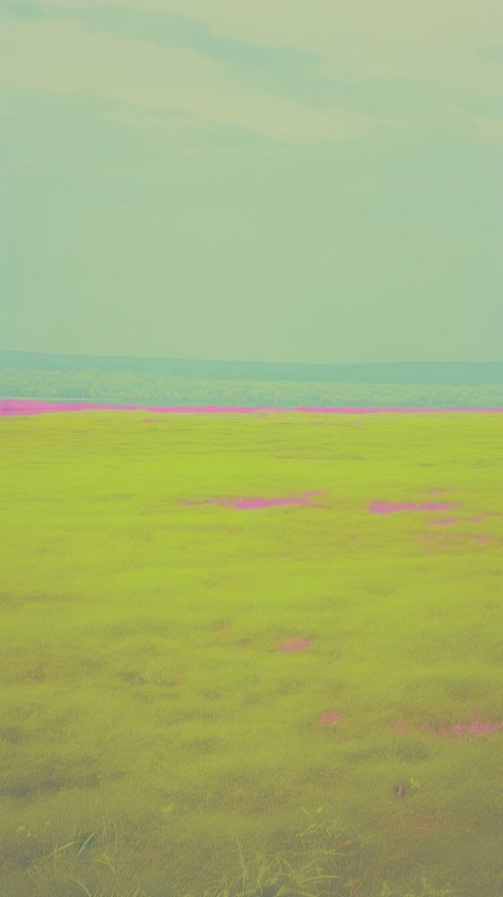 Large grassland backgrounds outdoors horizon. AI generated Image by rawpixel.