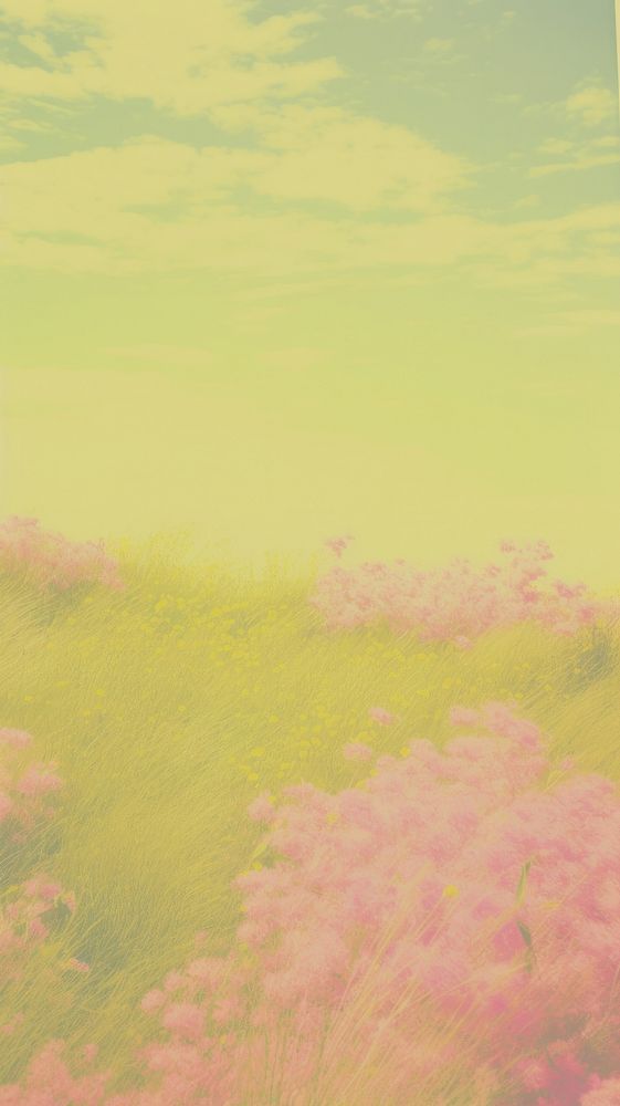 SUMMER backgrounds landscape outdoors. AI generated Image by rawpixel.