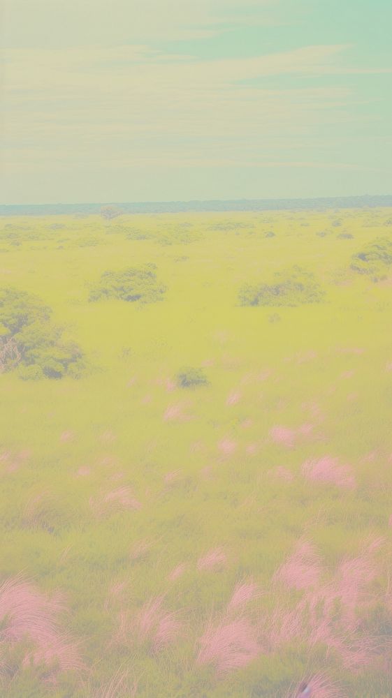 Savanna grassland backgrounds outdoors horizon. AI generated Image by rawpixel.