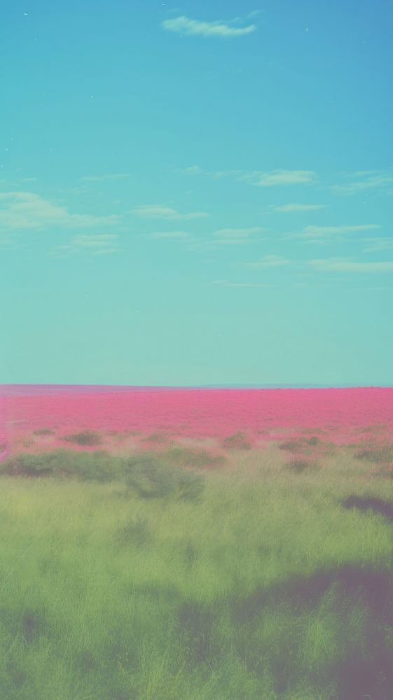 Savanna grassland landscape outdoors horizon. AI generated Image by rawpixel.