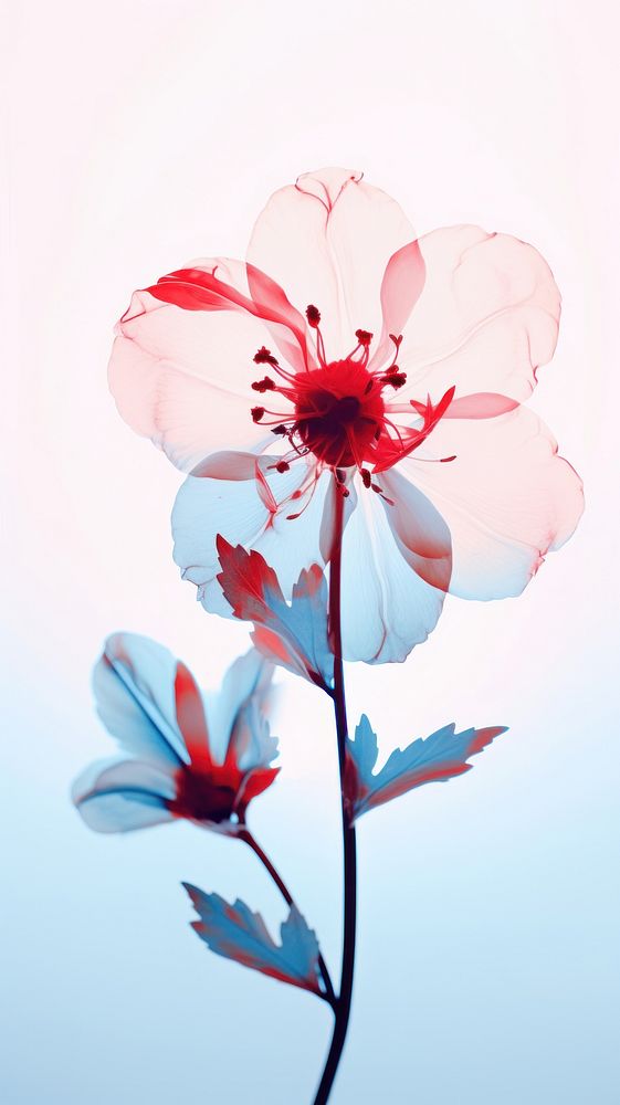 White flower smoky blue blossom petal plant. AI generated Image by rawpixel.