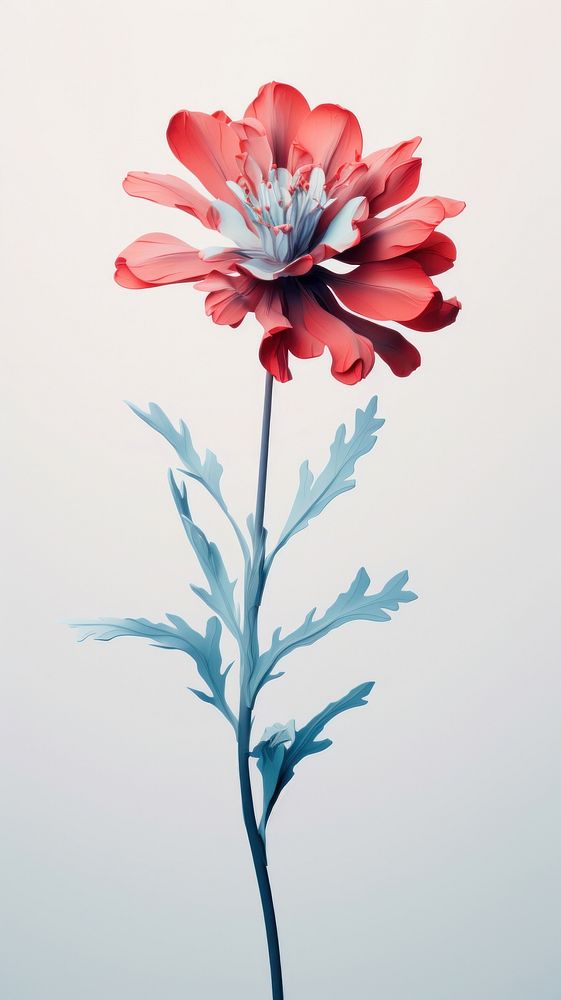 Red and white flower smoky blue blossom petal plant. AI generated Image by rawpixel.