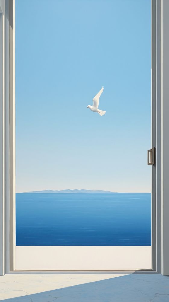 A white dove outside the window with seascape background flying bird architecture.