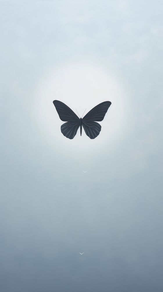 Minimal space butterfly outdoors animal insect.