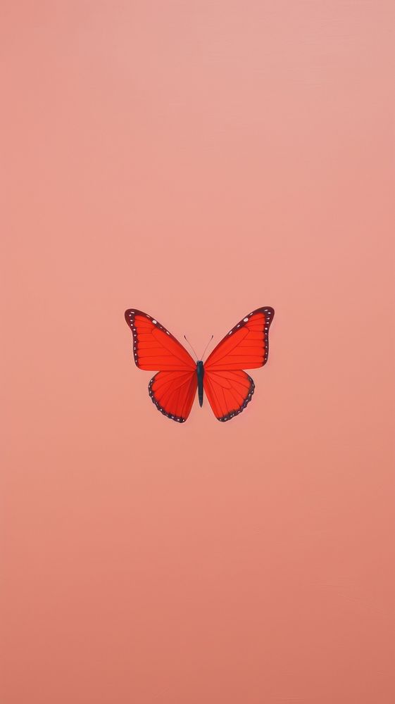 Minimal space butterfly animal wildlife insect.