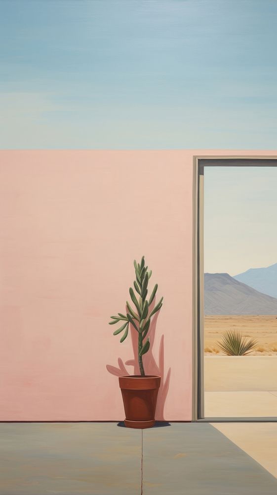 Potted leaf side the door with desert background painting architecture plant.