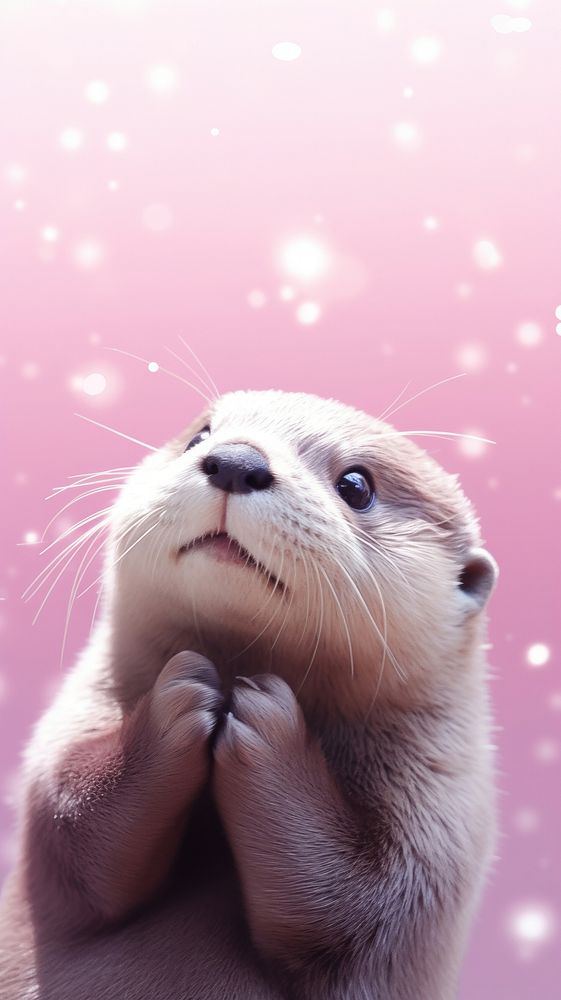 Otter dreamy wallpaper animal wildlife mammal.