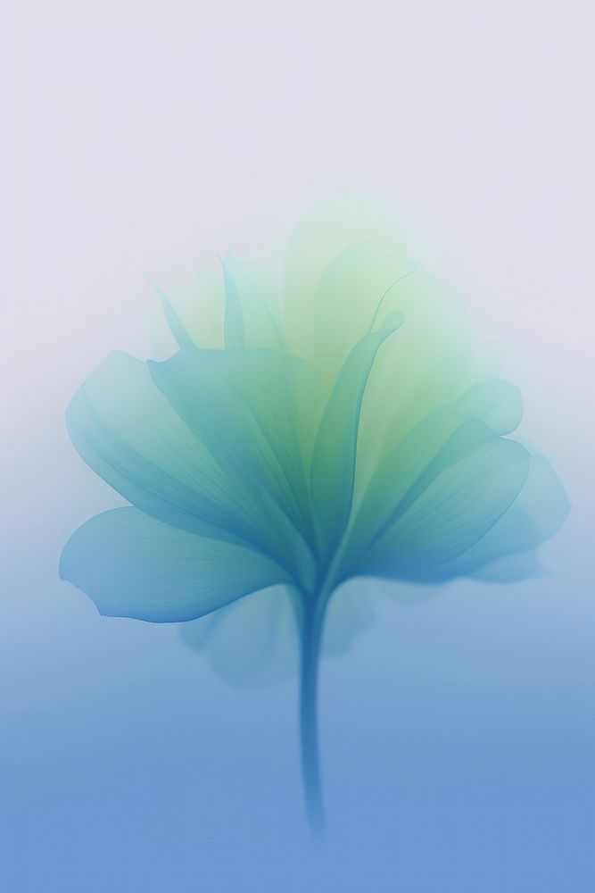 Abstract blurred gradient illustration blue flower nature petal plant.