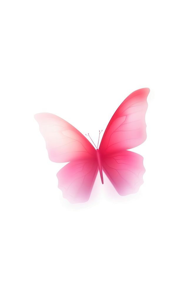 Abstract blurred gradient illustration butterfly animal petal pink.