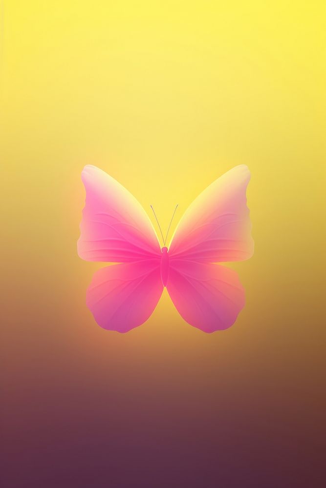 Abstract blurred gradient illustration butterfly yellow petal pink.