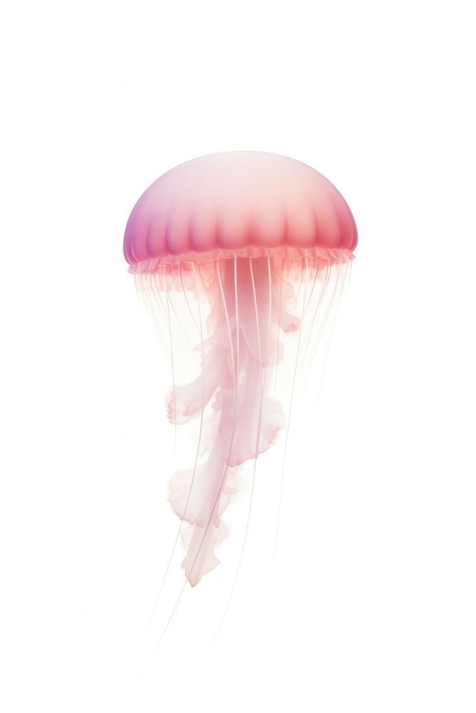 Abstract blurred gradient illustration jellyfish pink white background invertebrate.