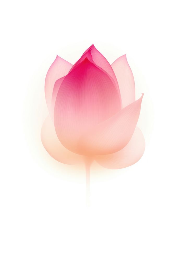 Abstract blurred gradient illustration lotus flower petal plant.