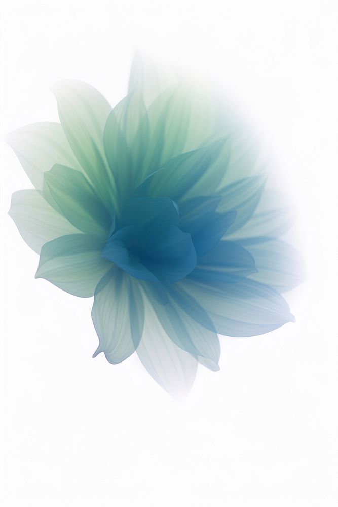 Blurred gradient illustration blue flower abstract petal plant.