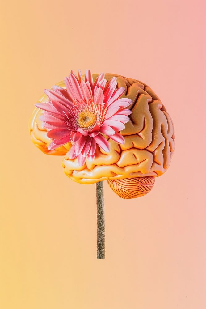 Brain with flower plant brain food.