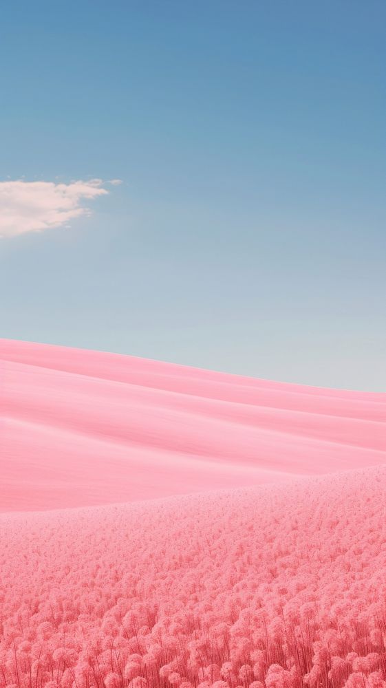 Pink aesthetic field wallpaper outdoors horizon nature.
